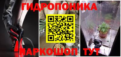 мяу мяу мука Нарткала
