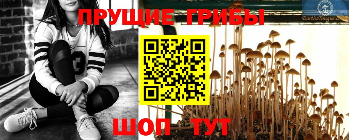 Галлюциногенные грибы ЛСД Чебаркуль