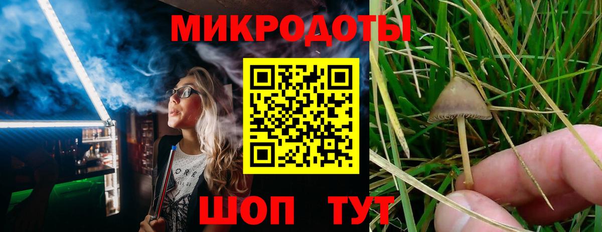 Галлюциногенные грибы мухоморы  Вход с VPN  Чебаркуль 